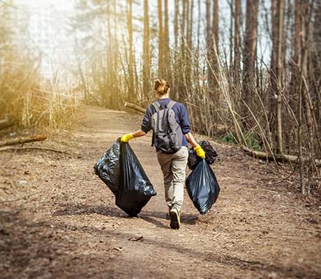 environmental causes