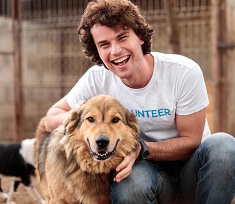 animal causes